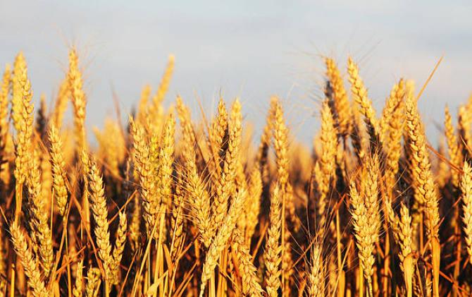 src=http___dpic.tiankong.com_mx_tc_QJ6641934283_x-oss-process=style_show&refer=http___dpic.tiankong.jpg src=http___dpic.tiankong.com_mx_tc_QJ6641934283_x-oss-process=style_show&refer=http___dpic.tiankong.jpg