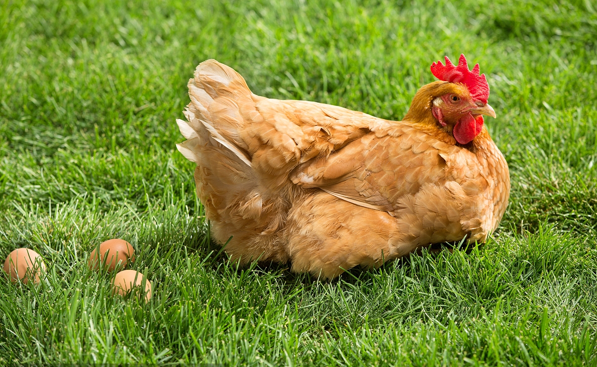 t013e9f8b9597a20c4f t013e9f8b9597a20c4f