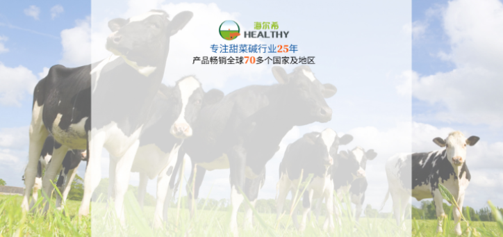 甜菜堿的效果 甜菜堿的效果