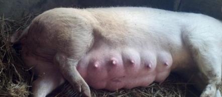 src=http___5b0988e595225.cdn.sohucs.com_images_20171125_61c7db62053546eebe49fba6e54f44ef.png&refer=http___5b0988e595225.cdn.sohucs src=http___5b0988e595225.cdn.sohucs.com_images_20171125_61c7db62053546eebe49fba6e54f44ef.png&refer=http___5b0988e595225.cdn.sohucs