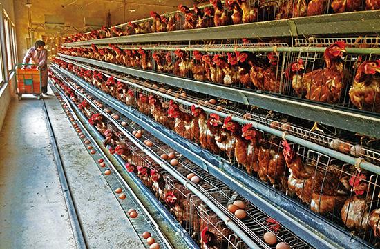 src=http___nckhf.szzj.gov.cn_picture_-1_1702100859237237004&refer=http___nckhf.szzj.gov.jpg src=http___nckhf.szzj.gov.cn_picture_-1_1702100859237237004&refer=http___nckhf.szzj.gov.jpg