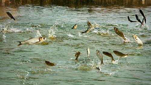 src=http___www.hbncw.cn_83_UploadFiles_zxzt_jpg_2017_5_201705051655438782&refer=http___www.hbncw.jpg src=http___www.hbncw.cn_83_UploadFiles_zxzt_jpg_2017_5_201705051655438782&refer=http___www.hbncw.jpg