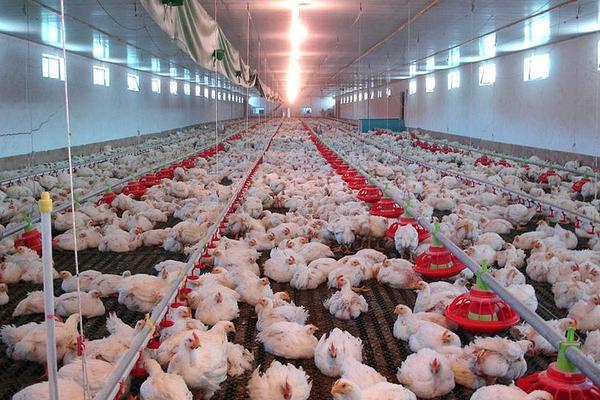 src=http___www.zhifure.com_upload_images_2017_7_28214853240&refer=http___www.zhifure.jpg src=http___www.zhifure.com_upload_images_2017_7_28214853240&refer=http___www.zhifure.jpg