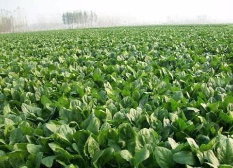 u=3249351685，4072247689&fm=26&gp=0