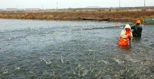 src=http___5b0988e595225.cdn.sohucs.com_images_20180913_8e6e618df7764d2197b970c60a499307.jpeg&refer=http___5b0988e595225.cdn.sohucs src=http___5b0988e595225.cdn.sohucs.com_images_20180913_8e6e618df7764d2197b970c60a499307.jpeg&refer=http___5b0988e595225.cdn.sohucs