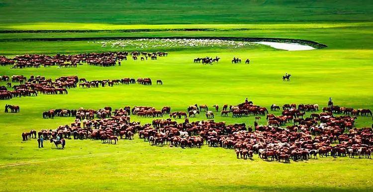 src=http___p2.itc.cn_images03_20200521_a57e66f32be6463f976c4b48b0e41e15.jpeg&refer=http___p2.itc src=http___p2.itc.cn_images03_20200521_a57e66f32be6463f976c4b48b0e41e15.jpeg&refer=http___p2.itc