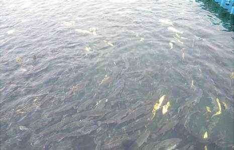 src=http___p98.pstatp.com_large_pgc-image_1537845738685d7ff1a332e&refer=http___p98.pstatp src=http___p98.pstatp.com_large_pgc-image_1537845738685d7ff1a332e&refer=http___p98.pstatp