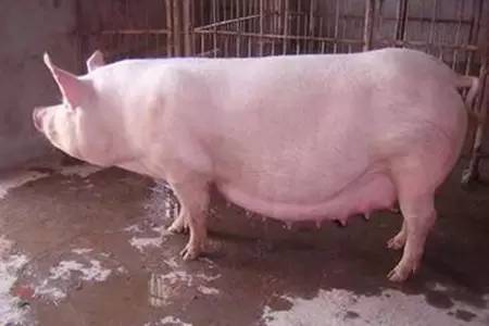 cf23c1b47752411c99cb0863466fb18f_th cf23c1b47752411c99cb0863466fb18f_th