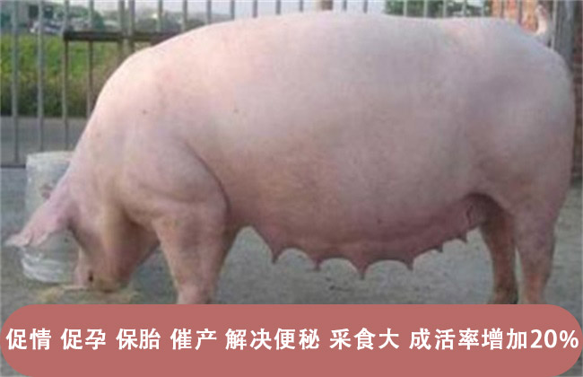 20190108012423605 20190108012423605