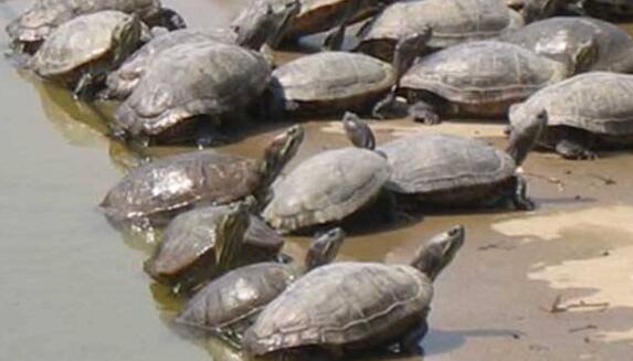 111023E24-1 111023E24-1