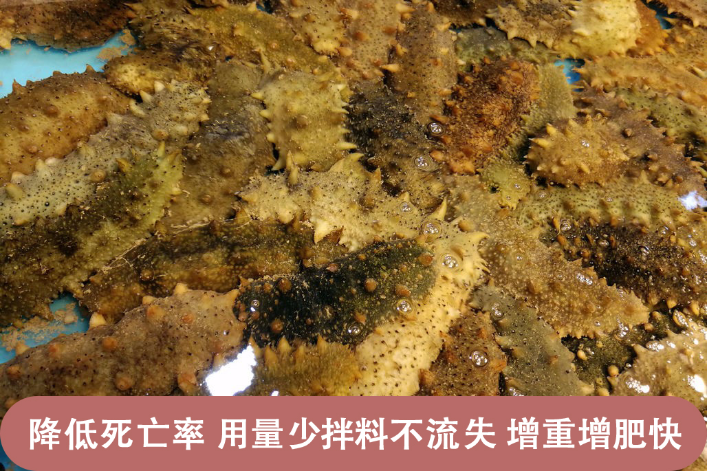 6360-hapkuvm0004076 6360-hapkuvm0004076