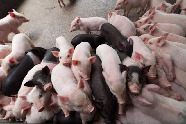 021993a8b8d9430692e773b4dc771b05 021993a8b8d9430692e773b4dc771b05