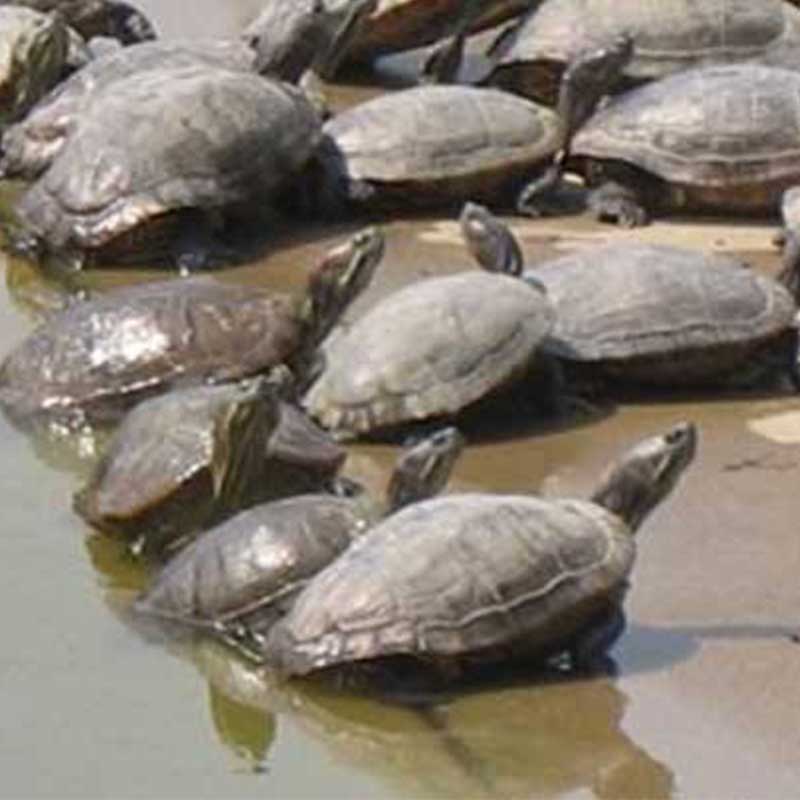 畫板 21 拷貝 畫板 21 拷貝