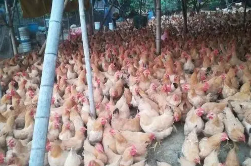 QQ圖片20210803103945 QQ圖片20210803103945