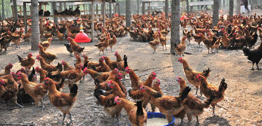 src=http___www.hcept.net_d_file_xinwenzhongxin_xingyedongtai_2018-06-02_new_img6_2&refer=http___www.hcept.jpg src=http___www.hcept.net_d_file_xinwenzhongxin_xingyedongtai_2018-06-02_new_img6_2&refer=http___www.hcept.jpg