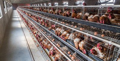 t011bfda55a63e8279f t011bfda55a63e8279f