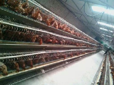 src=http___www.renhe.cn_offer_pics_1539343&refer=http___www.renhe.jpg src=http___www.renhe.cn_offer_pics_1539343&refer=http___www.renhe.jpg