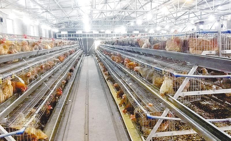 src=http___imgv.azureedge.net_wpupload_2018_05_wd07235_5467_0519_003&refer=http___imgv.azureedge.jpg src=http___imgv.azureedge.net_wpupload_2018_05_wd07235_5467_0519_003&refer=http___imgv.azureedge.jpg