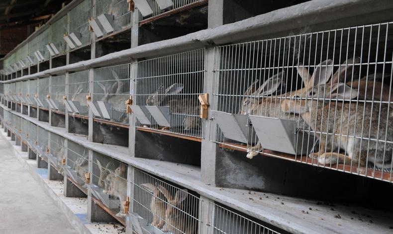 src=http___www.cydianzi.com_Upload_20190823_105127_2234.png&refer=http___www.cydianzi src=http___www.cydianzi.com_Upload_20190823_105127_2234.png&refer=http___www.cydianzi