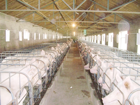 src=http___paper.jzxww.com.cn_jzrb_rmp_1_1_2016-05_03_08_res01_attpic_brief&refer=http___paper.jzxww.com.jpg src=http___paper.jzxww.com.cn_jzrb_rmp_1_1_2016-05_03_08_res01_attpic_brief&refer=http___paper.jzxww.com.jpg