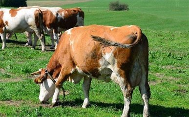 t0108f182ed30f6393c t0108f182ed30f6393c