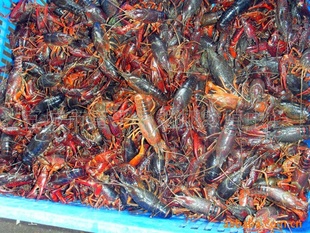 H4UYnH5ybc_1343192942 H4UYnH5ybc_1343192942