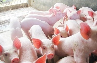 t0125eb8ffd85b663de t0125eb8ffd85b663de