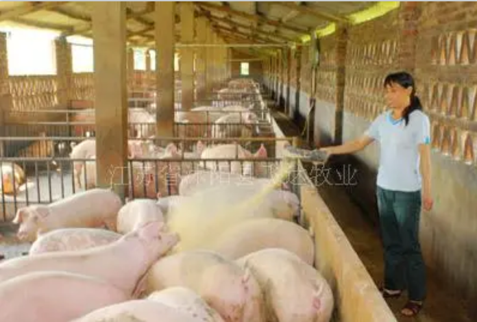 甜菜堿豬料【海爾?！? /></a></dt>
                        <dd>
                            <h3><a href=