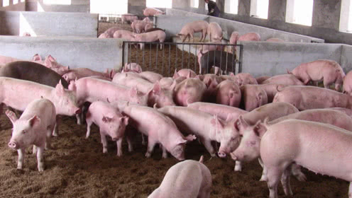 src=http___puui.qpic.cn_qqvideo_ori_0_k0854n4chsp_496_280_0&refer=http___puui.qpic src=http___puui.qpic.cn_qqvideo_ori_0_k0854n4chsp_496_280_0&refer=http___puui.qpic