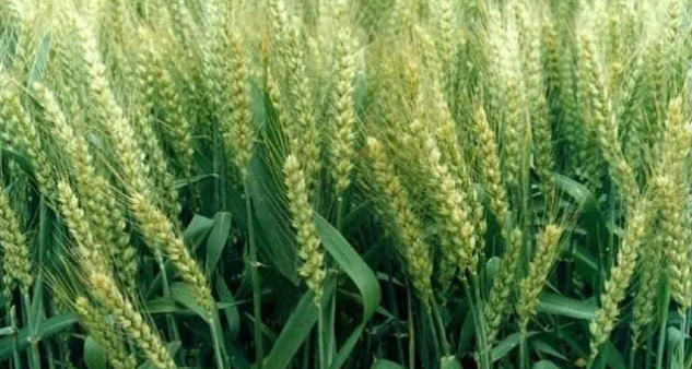 1630976629(1) 1630976629(1)