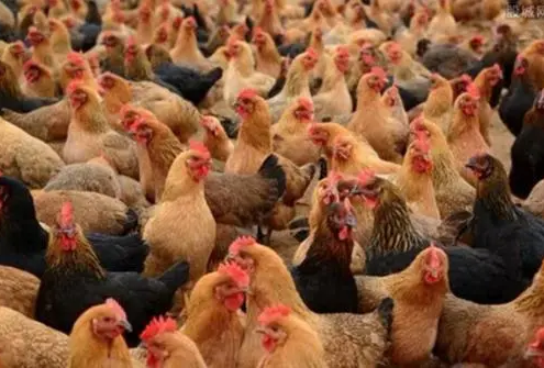 QQ圖片20210804133857 QQ圖片20210804133857