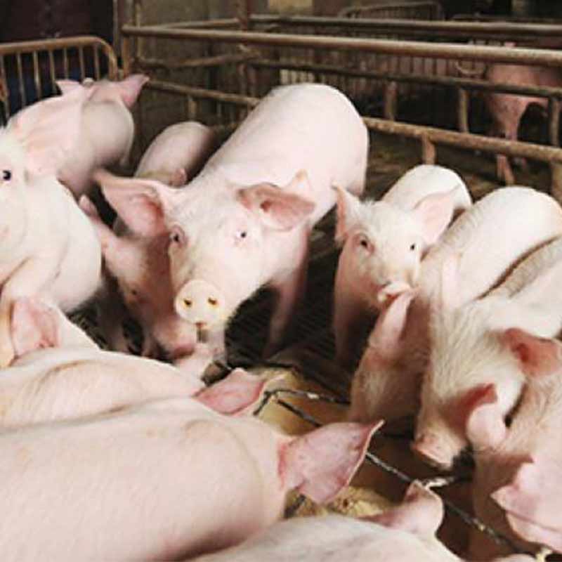 畫(huà)板 10 畫(huà)板 10