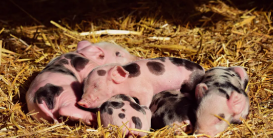 1631067587(1) 1631067587(1)