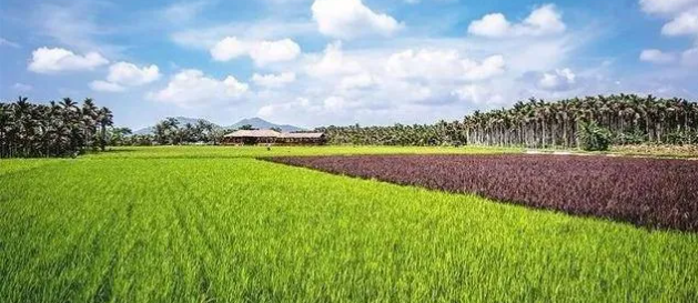 1631754366(1) 1631754366(1)