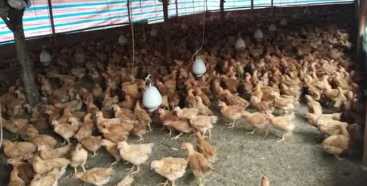 1632452795(1) 1632452795(1)