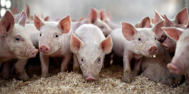 1631844449(1) 1631844449(1)