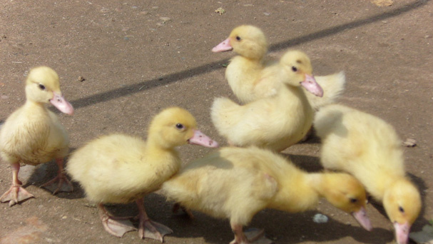 E_45C~C~[L13OUU{2H(93[T E_45C~C~[L13OUU{2H(93[T