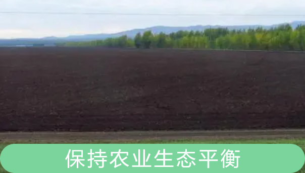 efe9258b5c393aa0cac20606755df09 efe9258b5c393aa0cac20606755df09