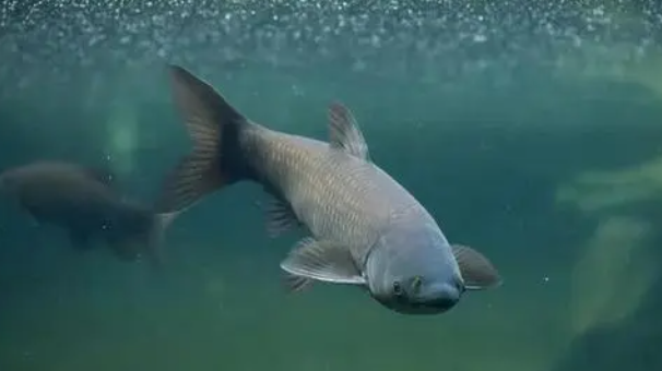 1632549256(1) 1632549256(1)