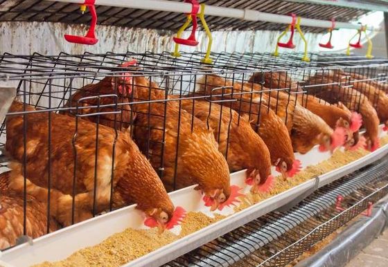 src=http___m.hx8178.com_uploads_allimg_160519_1-160519112115N4.png&refer=http___m.hx8178 src=http___m.hx8178.com_uploads_allimg_160519_1-160519112115N4.png&refer=http___m.hx8178