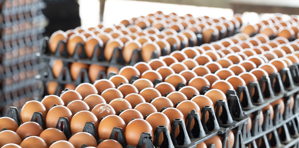 1053336297104605407 1053336297104605407