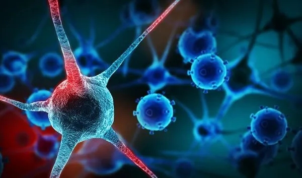 webp.webp (42) webp.webp (42)