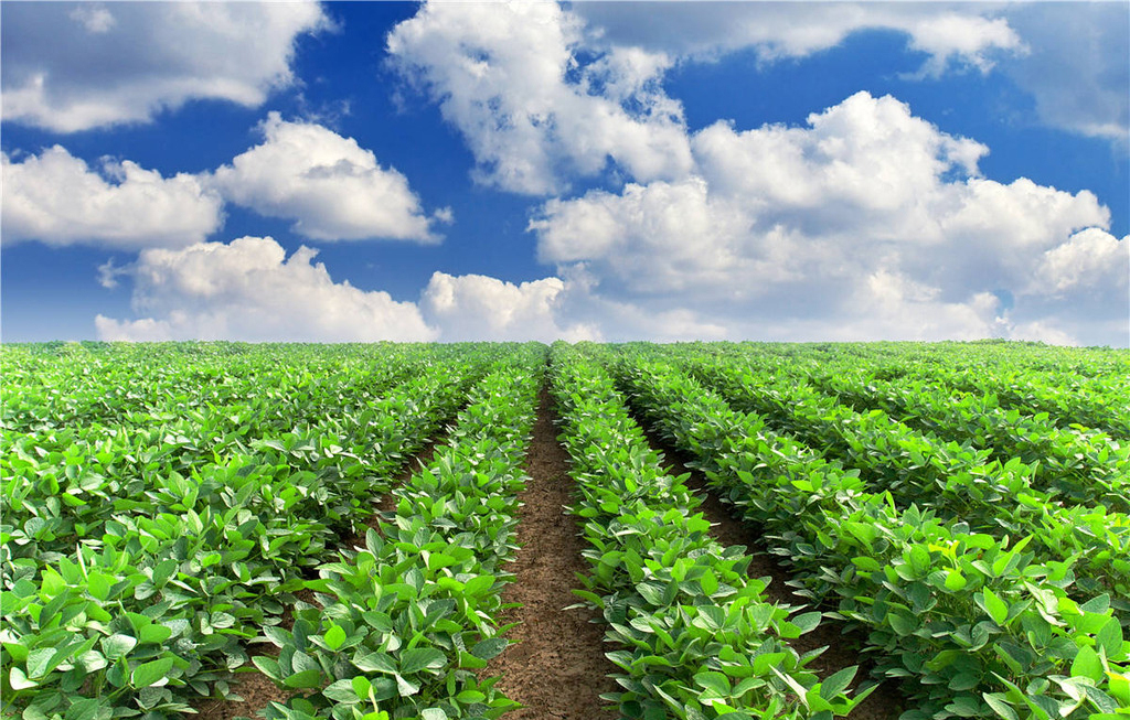 33e444ac2b64b1e41f45cf6b85ebffe0fc2be65cc7a3f-Bg7sAP_fw1200 33e444ac2b64b1e41f45cf6b85ebffe0fc2be65cc7a3f-Bg7sAP_fw1200