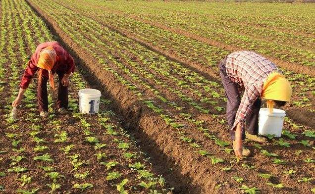 src=http___5b0988e595225.cdn.sohucs.com_images_20190113_aaaab626aacf4b37b72b4e438b19bf88.jpeg&refer=http___5b0988e595225.cdn.sohucs src=http___5b0988e595225.cdn.sohucs.com_images_20190113_aaaab626aacf4b37b72b4e438b19bf88.jpeg&refer=http___5b0988e595225.cdn.sohucs