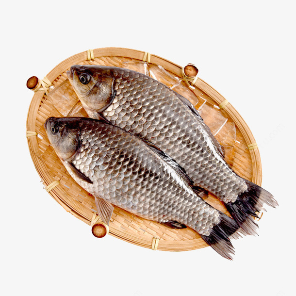 8494029c899c51072942f26ad0f9d1206a2b3fe02431f-KCCbJz_fw1200 8494029c899c51072942f26ad0f9d1206a2b3fe02431f-KCCbJz_fw1200