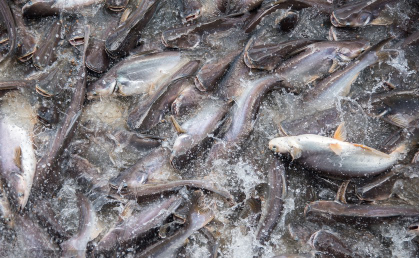 1011523433264578622 1011523433264578622