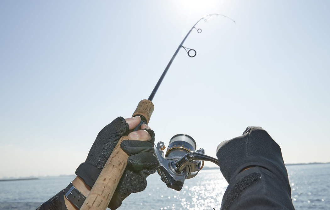 1408211800993431553 1408211800993431553