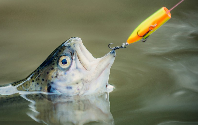 927663698481643521 927663698481643521