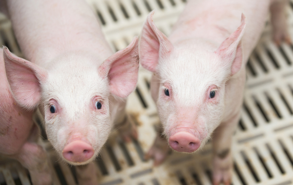 12304177_170614794000_2 12304177_170614794000_2