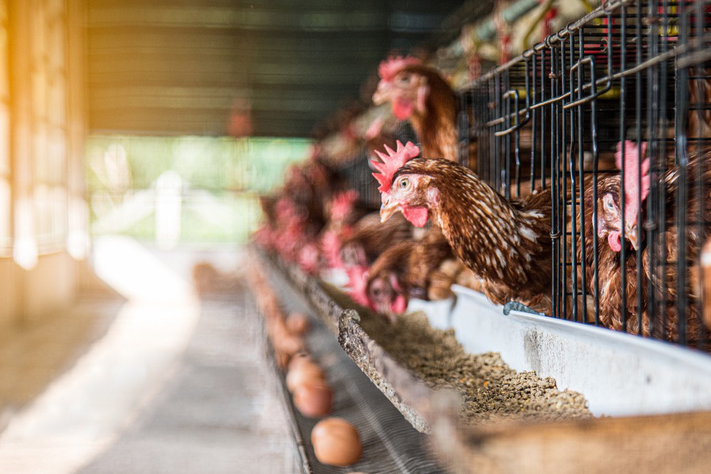 918397040258318391 918397040258318391